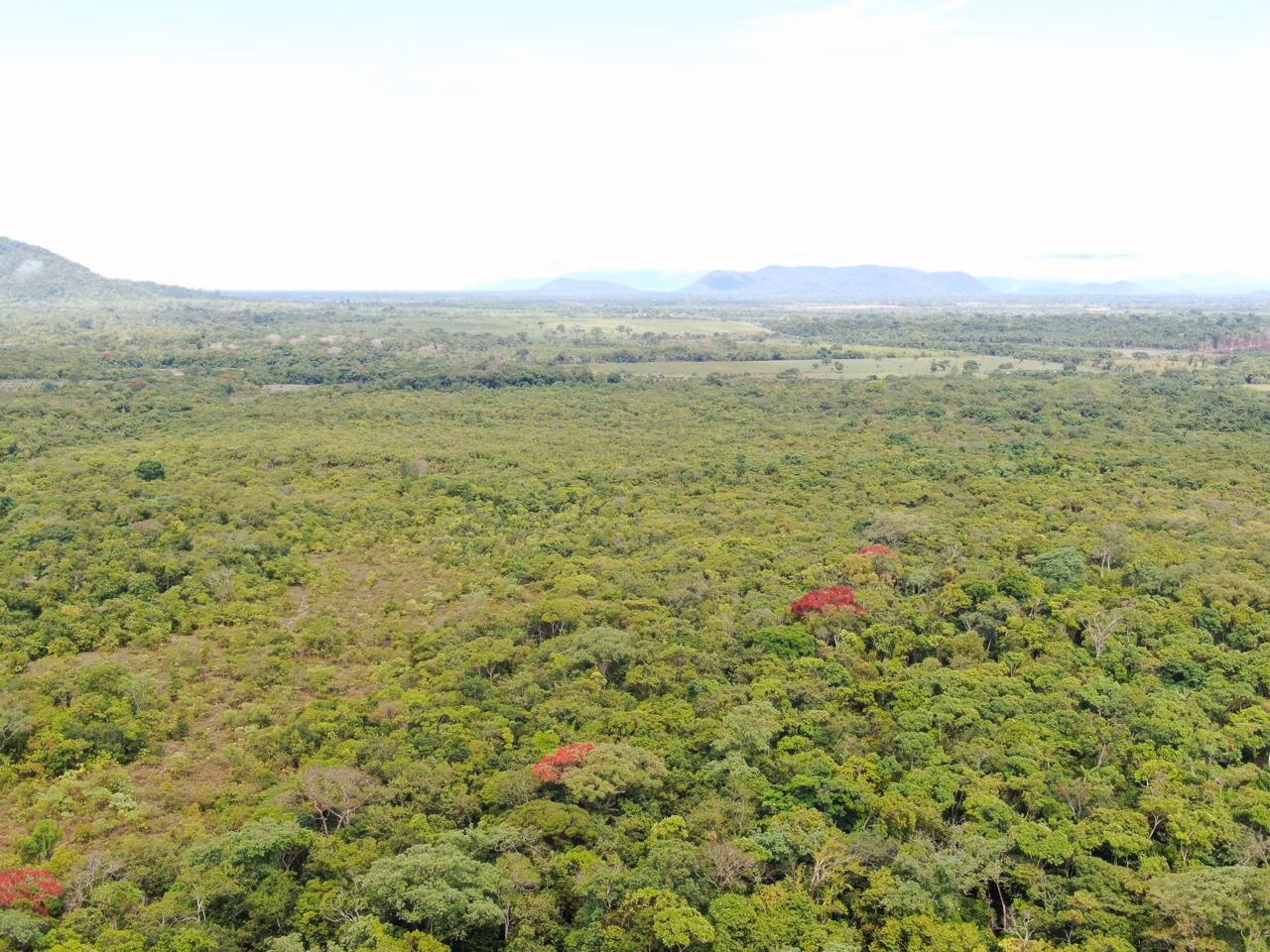 Fazenda de 305 ha em Cantá, RR