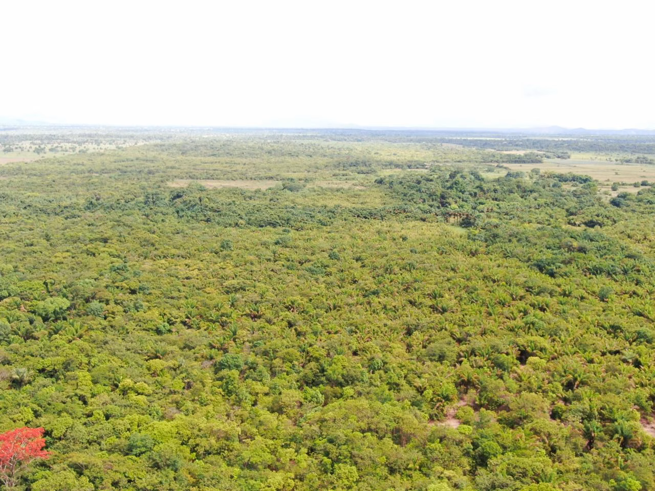 Fazenda de 305 ha em Cantá, RR