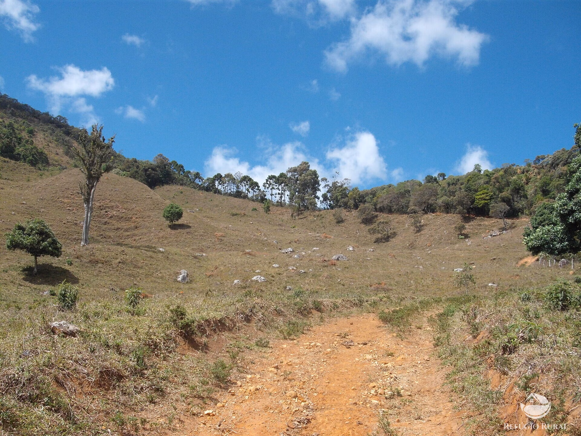 Sítio de 25 ha em Aiuruoca, MG