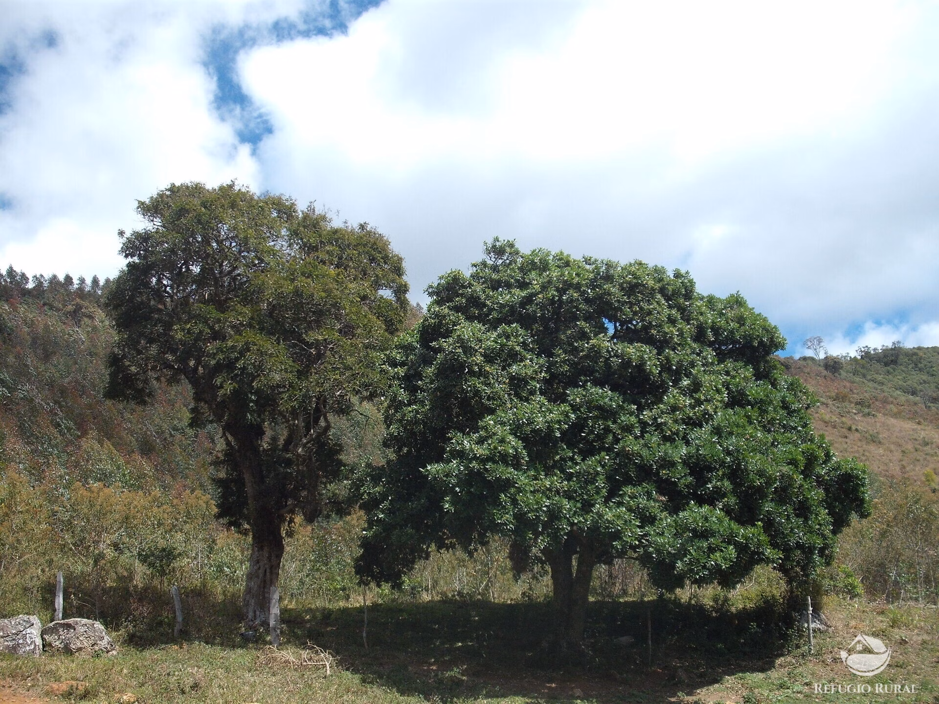Sítio de 25 ha em Aiuruoca, MG