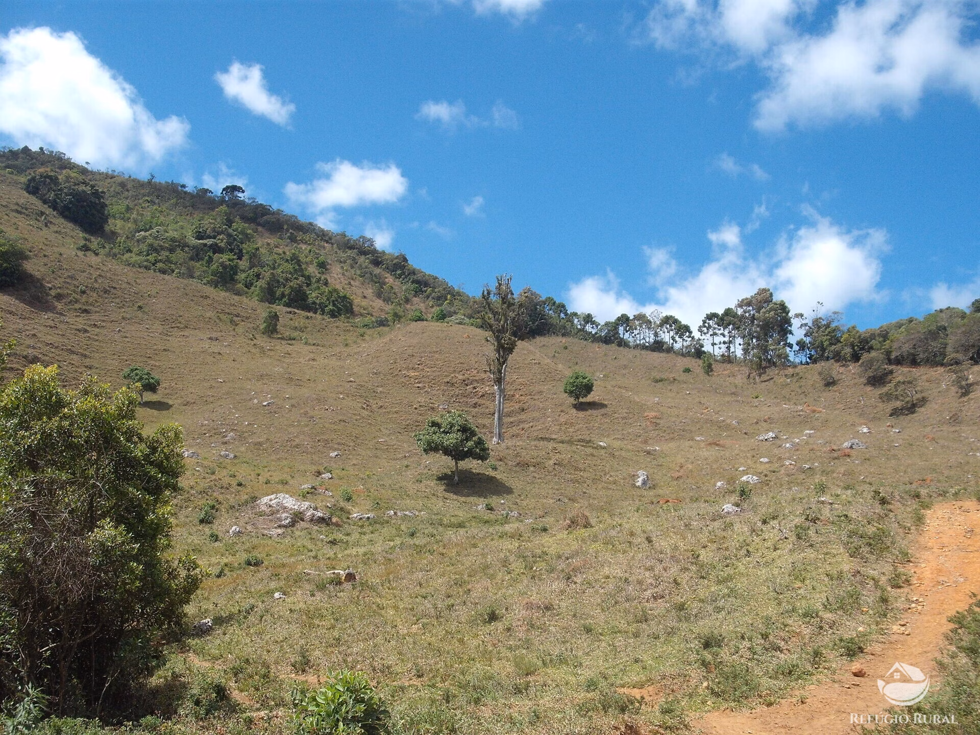 Small farm of 62 acres in Aiuruoca, MG, Brazil