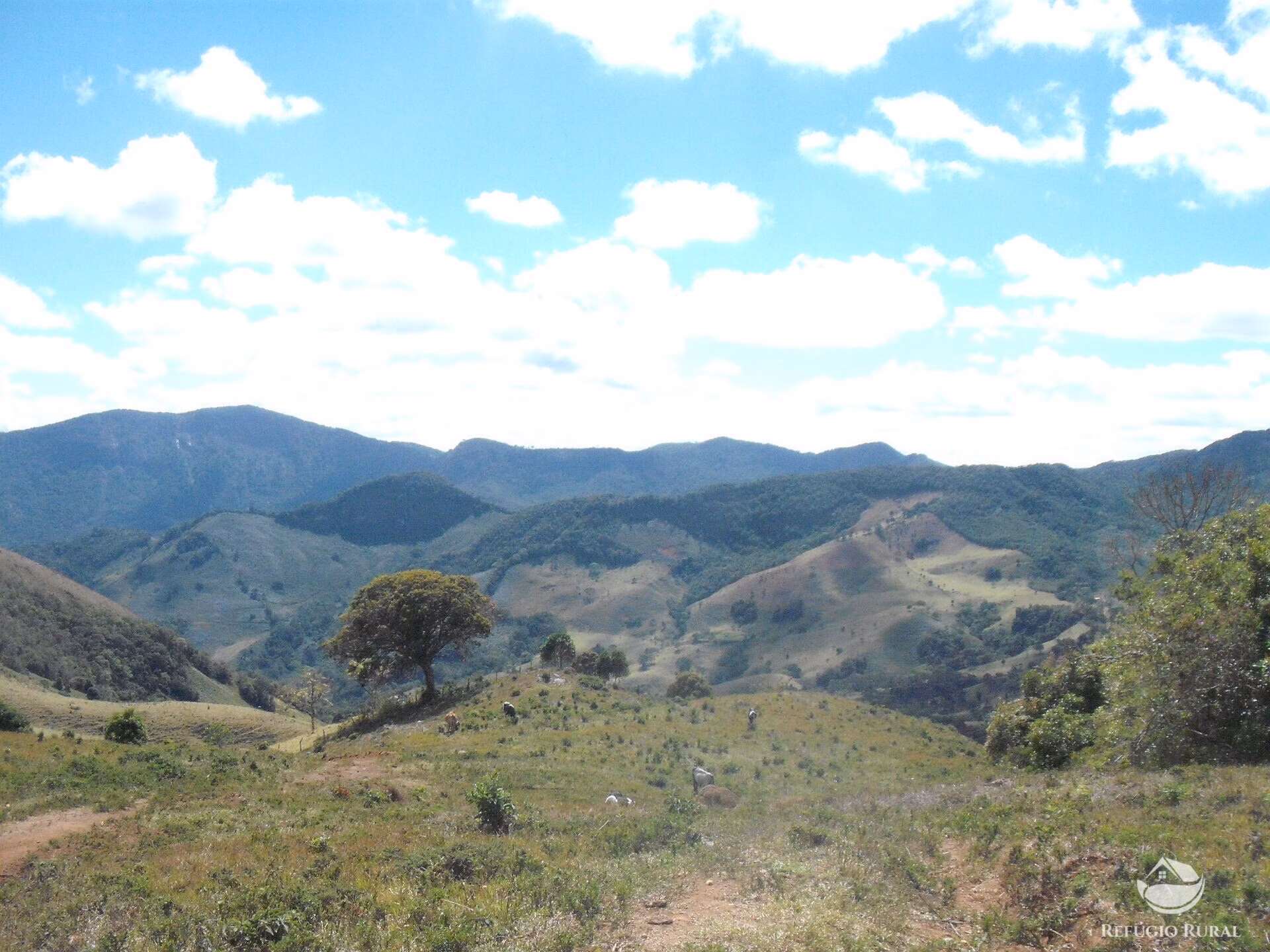 Sítio de 25 ha em Aiuruoca, MG