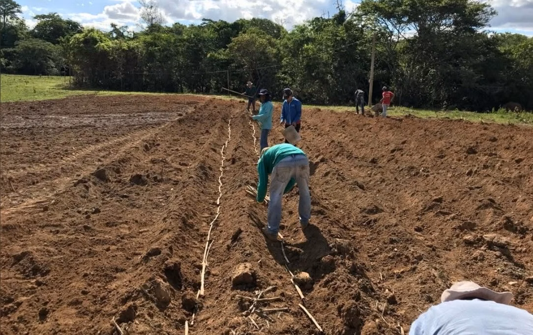 Small farm of 61 acres in Unaí, MG, Brazil