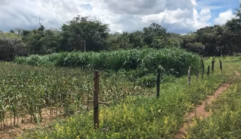 Small farm of 61 acres in Unaí, MG, Brazil