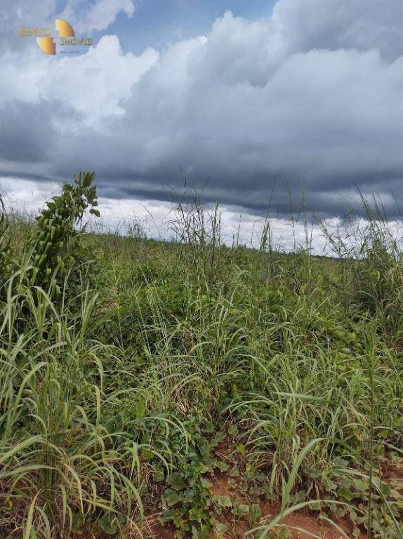 Fazenda de 4.000 ha em Confresa, MT
