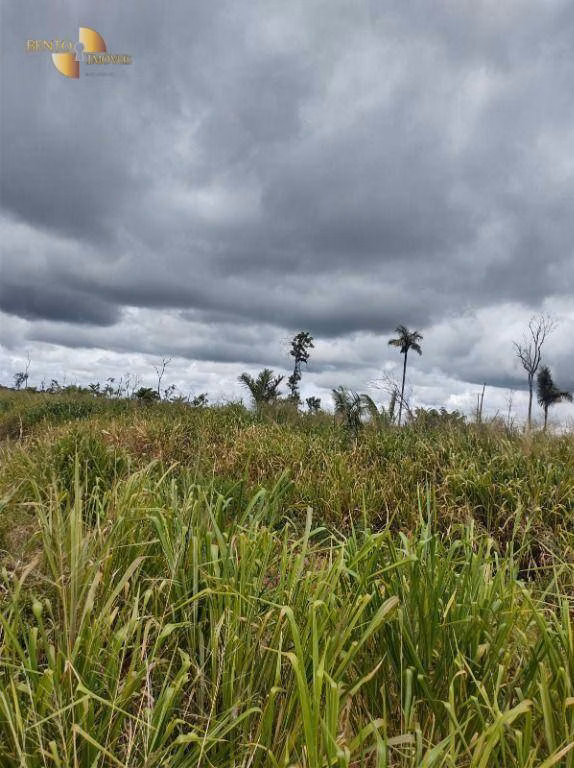 Fazenda de 4.000 ha em Confresa, MT