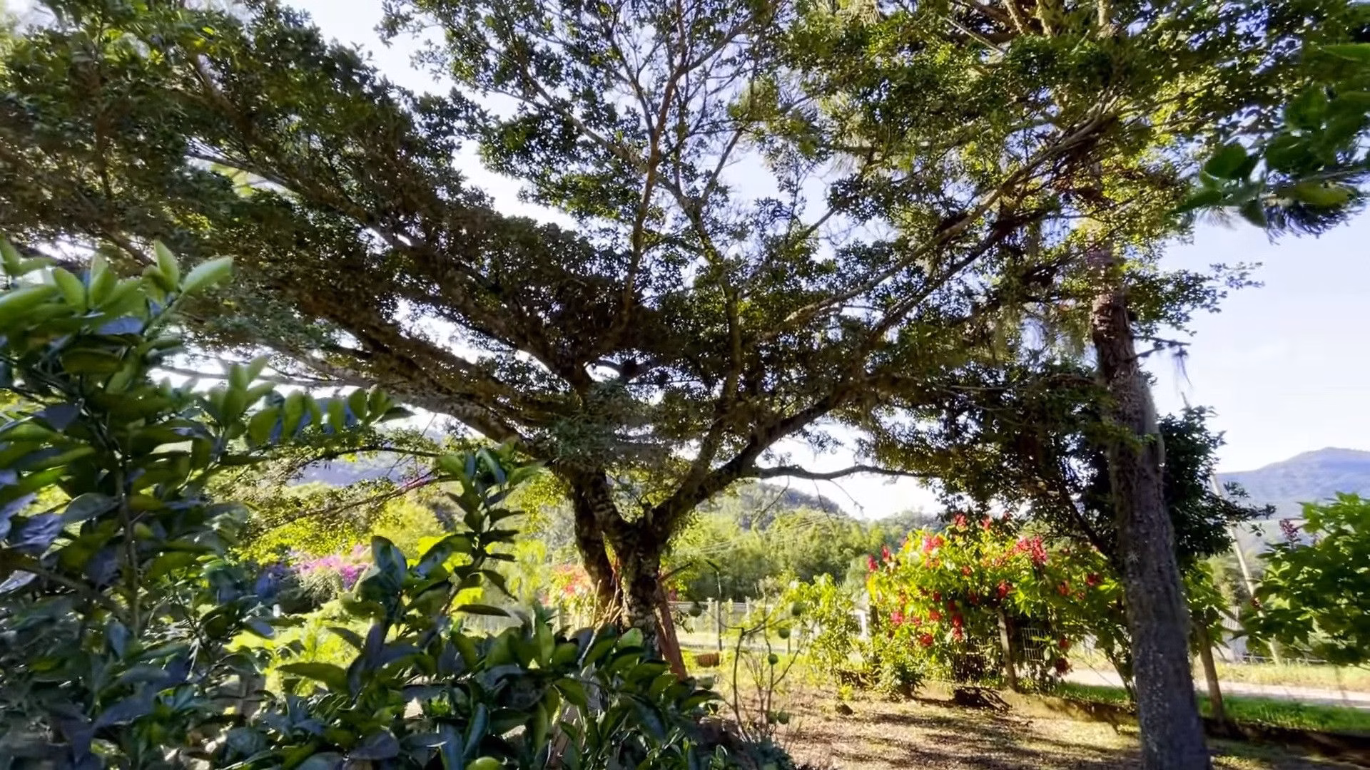 Chácara de 8 ha em Itati, RS