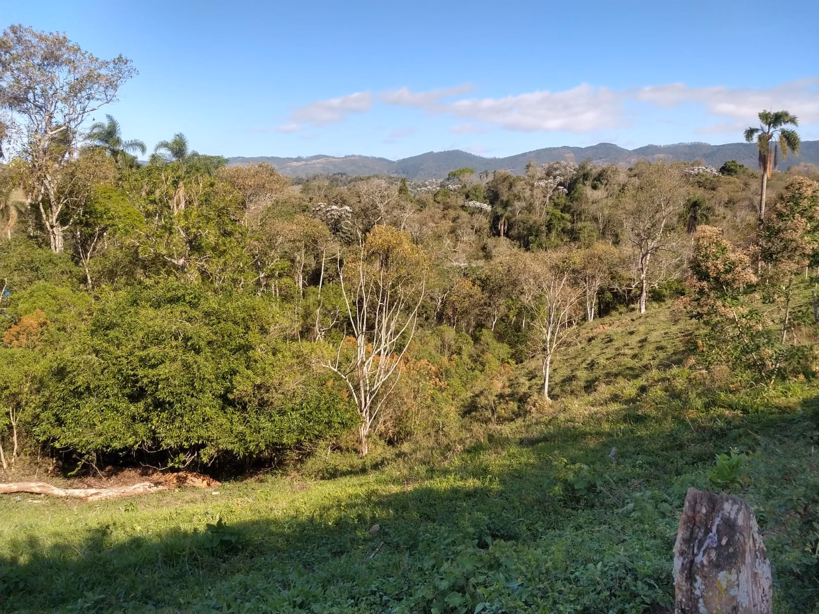 Country home of 10 acres in Mogi das Cruzes, SP, Brazil