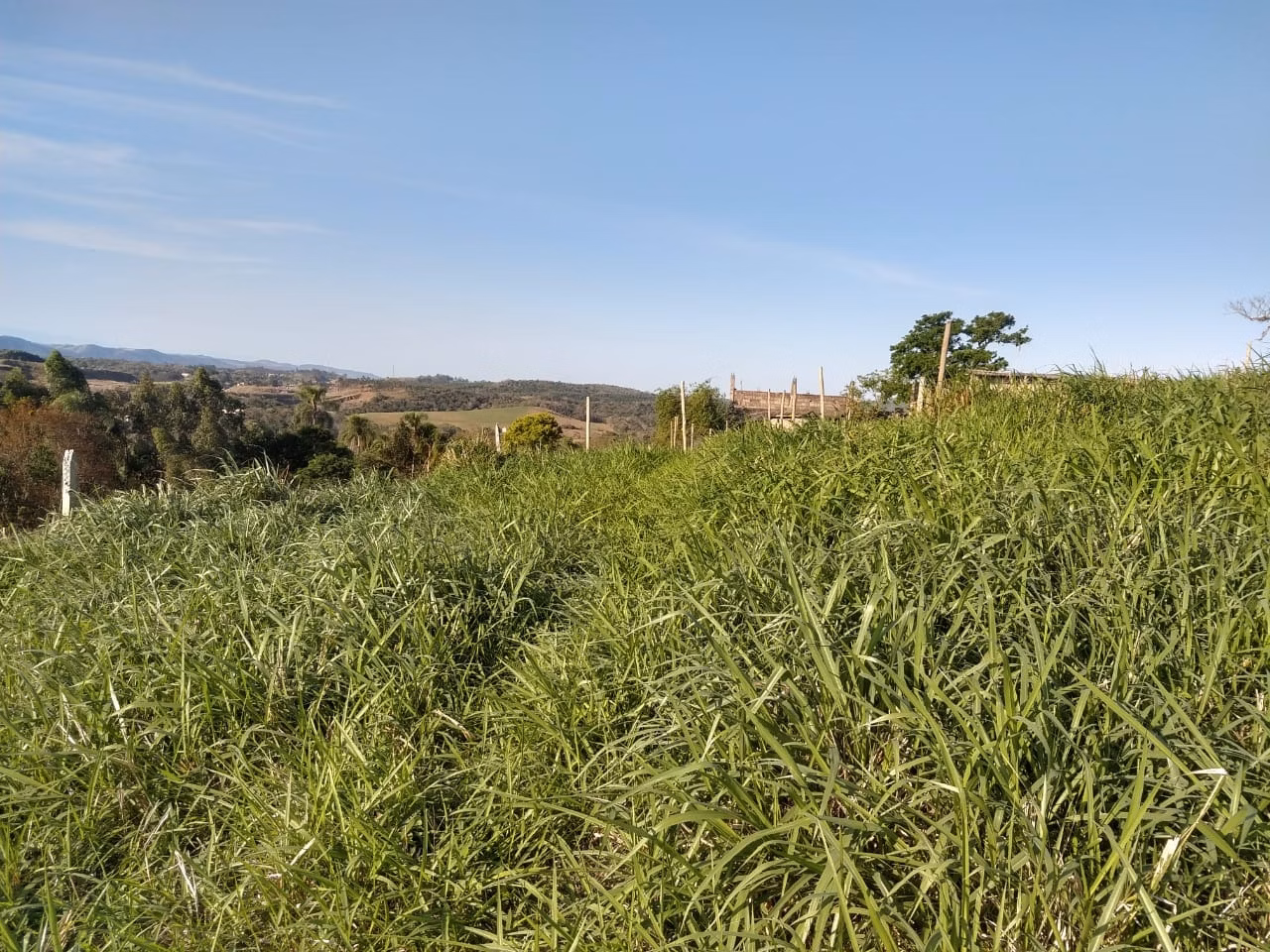 Chácara de 4 ha em Mogi das Cruzes, SP