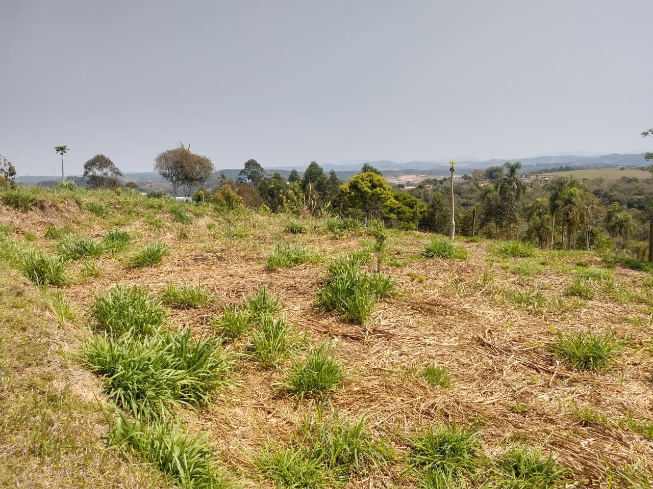 Country home of 10 acres in Mogi das Cruzes, SP, Brazil