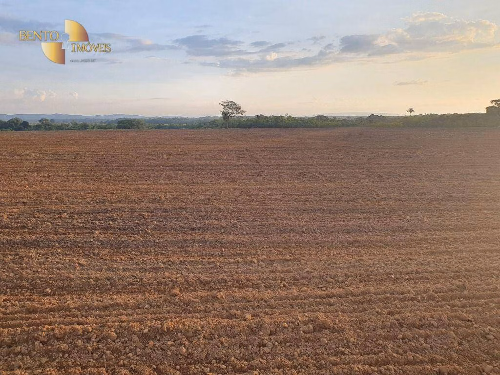 Fazenda de 404 ha em Nobres, MT