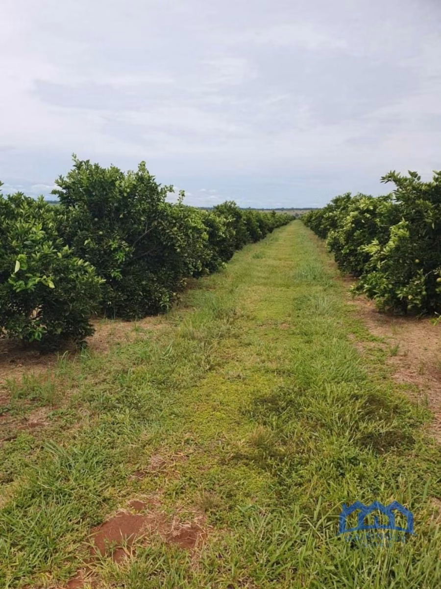 Fazenda à venda de 2.306 ha em Avaré, SP