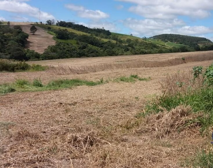 Fazenda de 162 ha em São Miguel Arcanjo, SP