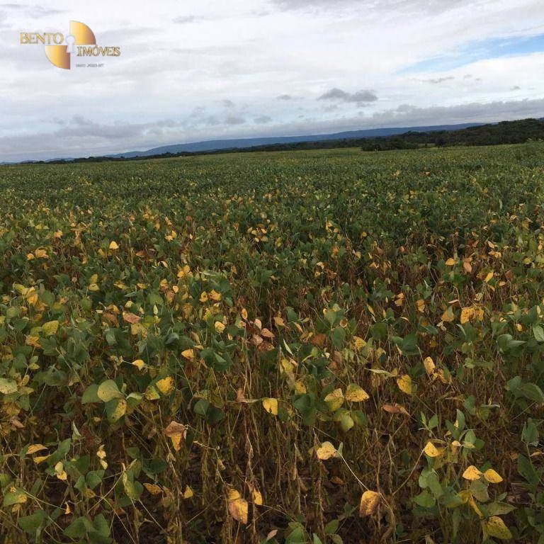 Farm of 6.178 acres in Rosário Oeste, MT, Brazil