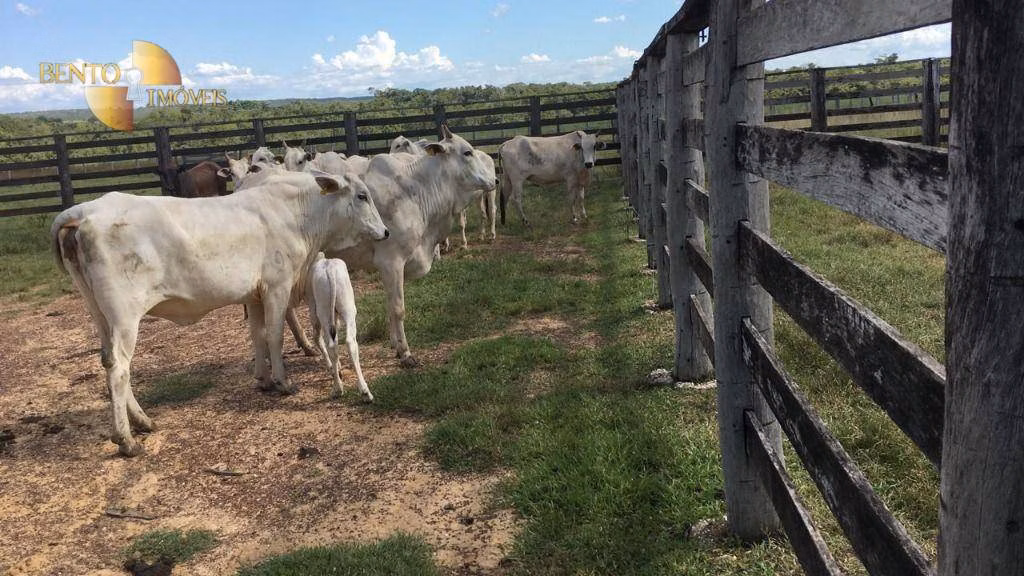 Farm of 6.178 acres in Rosário Oeste, MT, Brazil