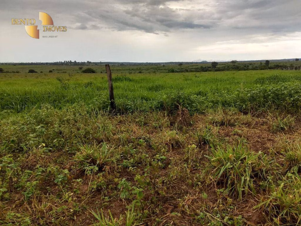 Farm of 6.178 acres in Rosário Oeste, MT, Brazil