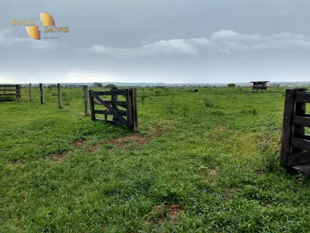 Farm of 6.178 acres in Rosário Oeste, MT, Brazil