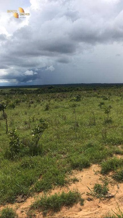 Farm of 6.178 acres in Rosário Oeste, MT, Brazil