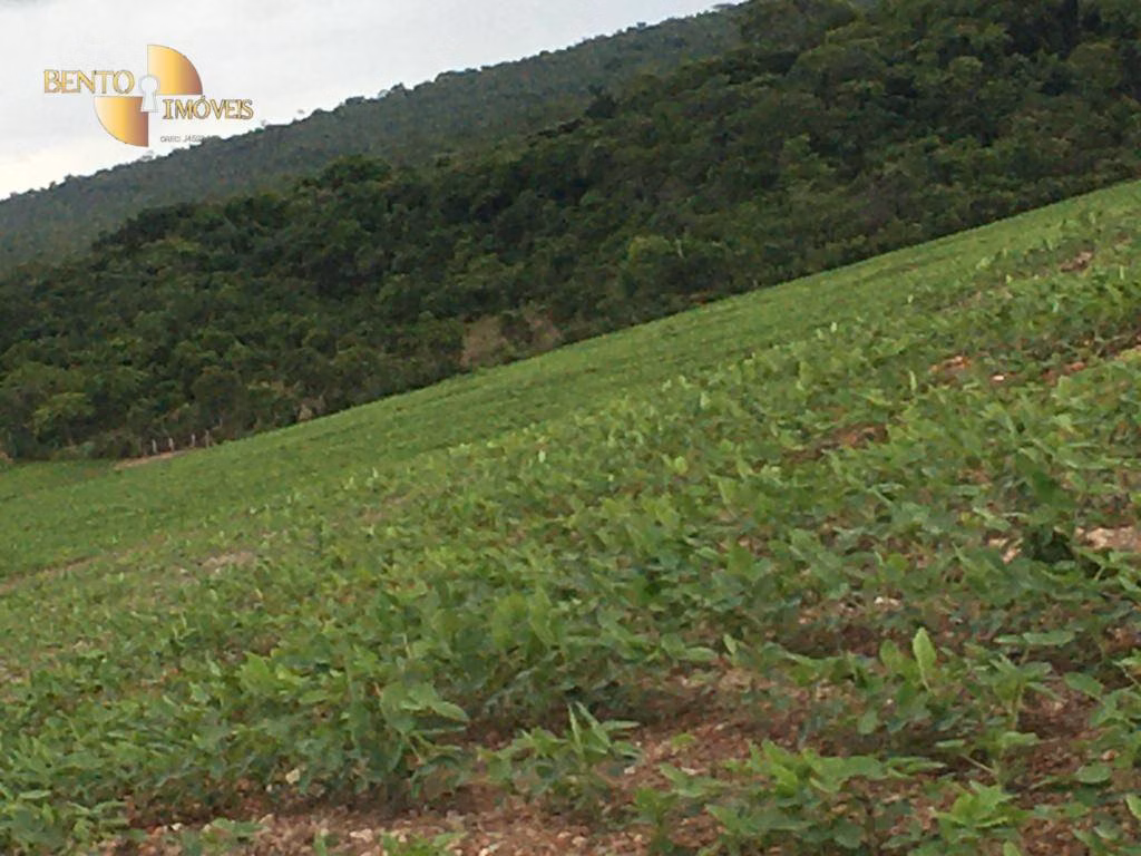 Farm of 6.178 acres in Rosário Oeste, MT, Brazil