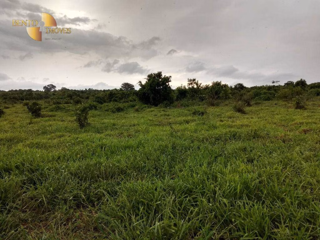 Farm of 6.178 acres in Rosário Oeste, MT, Brazil