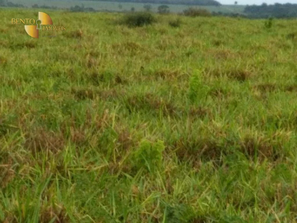 Farm of 6.178 acres in Rosário Oeste, MT, Brazil