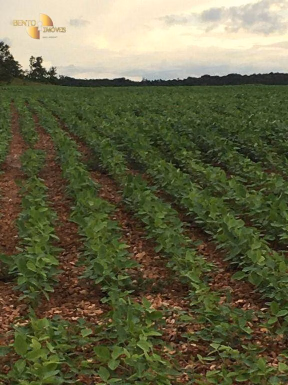 Farm of 6.178 acres in Rosário Oeste, MT, Brazil