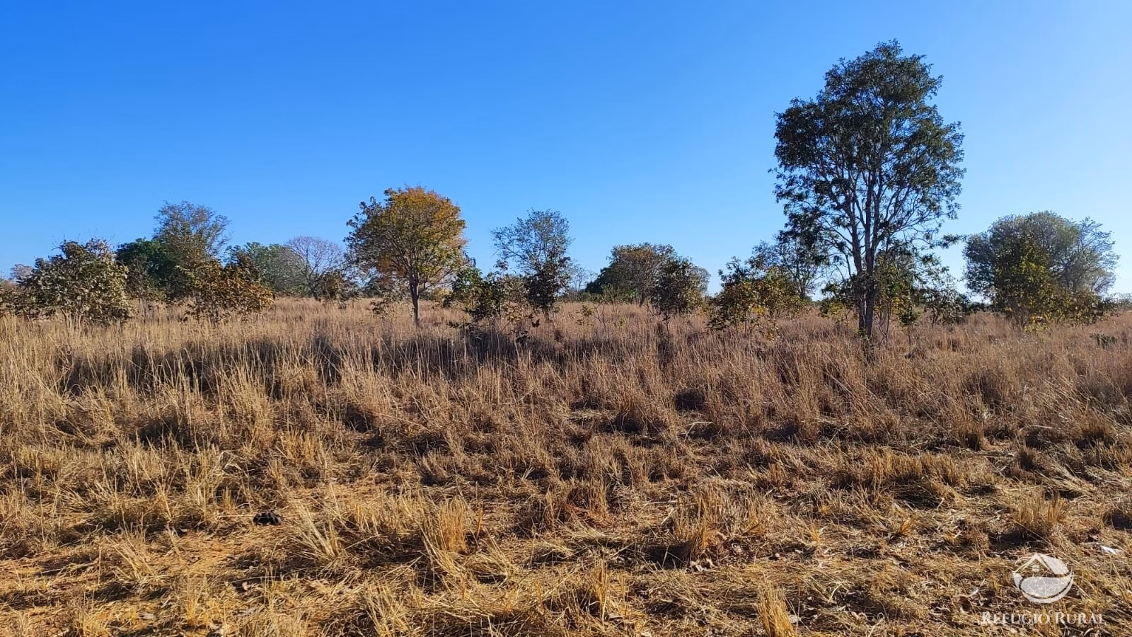 Fazenda de 459 ha em Talismã, TO