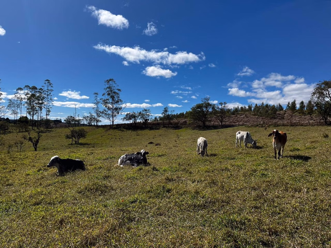 Small farm of 23 acres in Pilar do Sul, SP, Brazil
