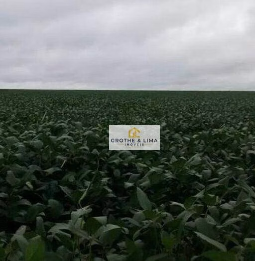 Farm of 20.930 acres in Araguaína, TO, Brazil
