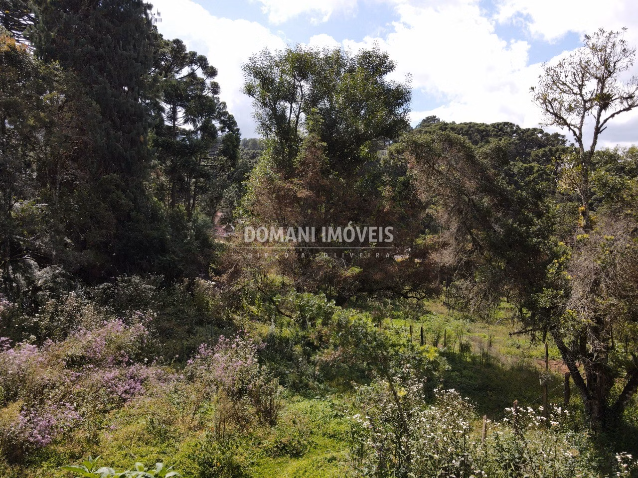 Plot of 1,250 m² in Campos do Jordão, SP, Brazil
