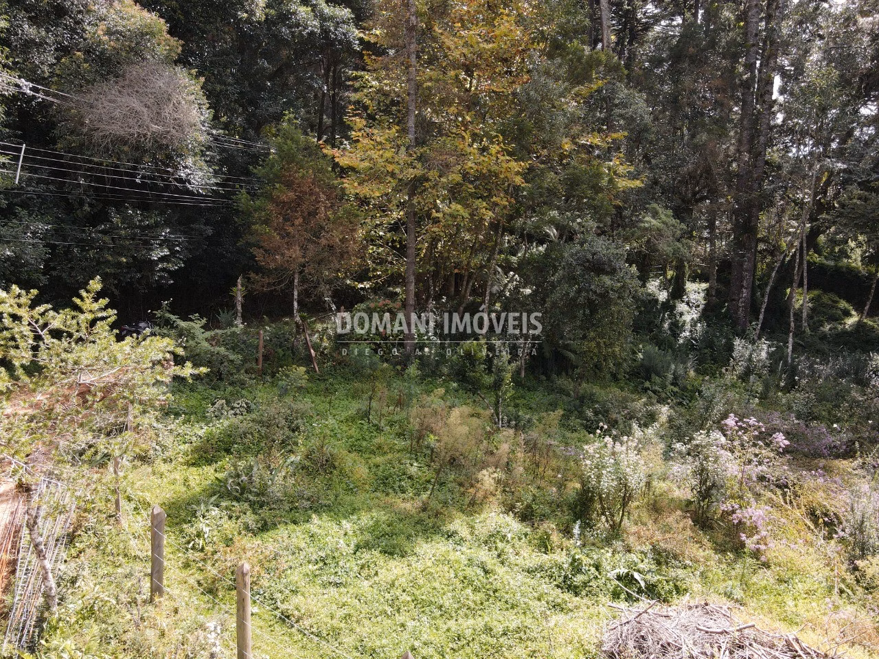 Plot of 1,250 m² in Campos do Jordão, SP, Brazil