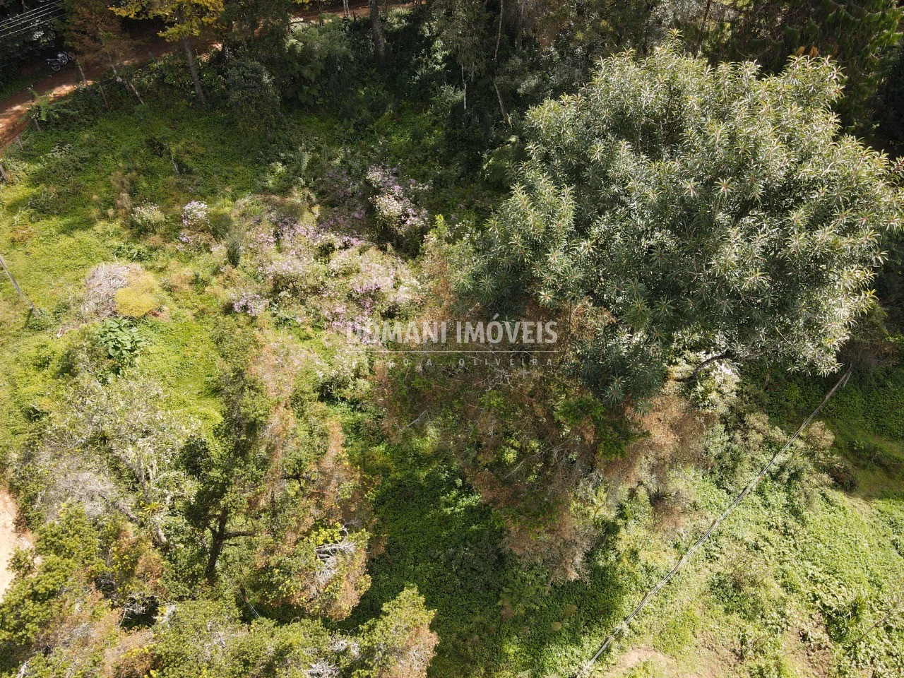 Plot of 1,250 m² in Campos do Jordão, SP, Brazil
