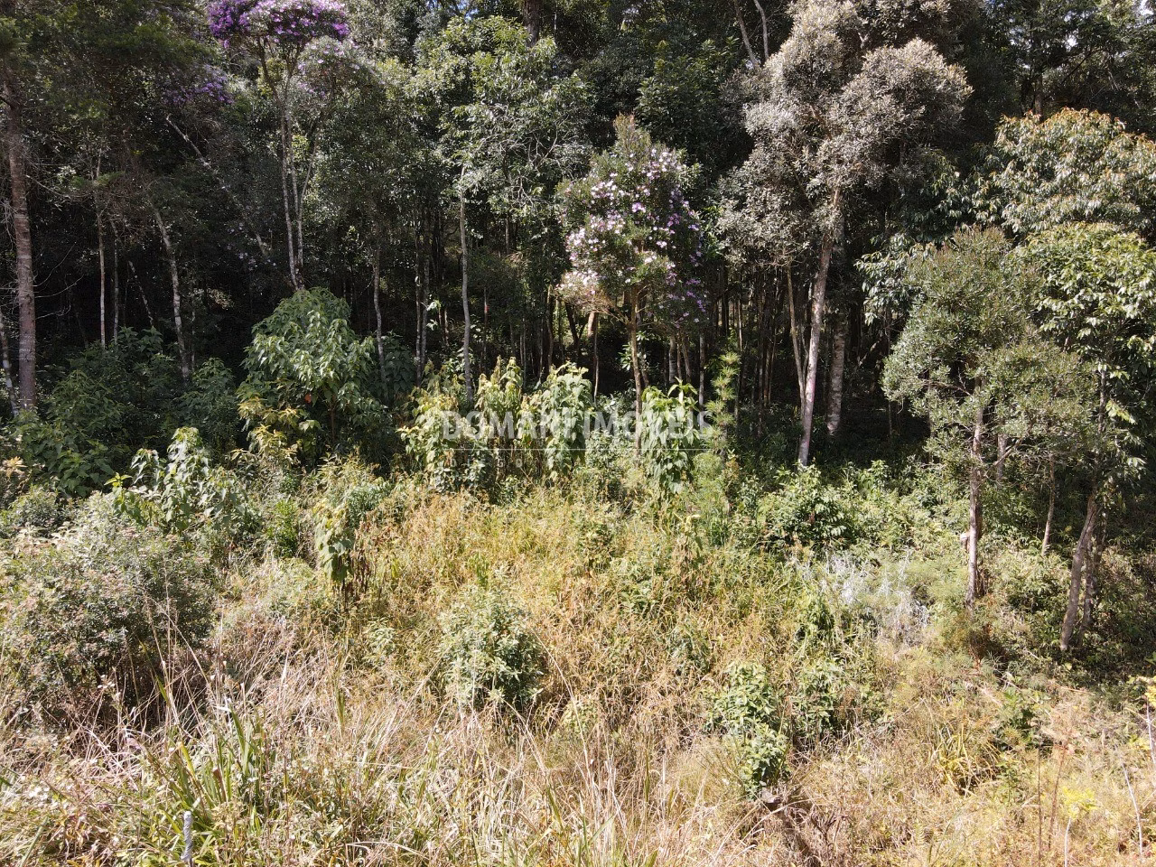 Plot of 1,250 m² in Campos do Jordão, SP, Brazil