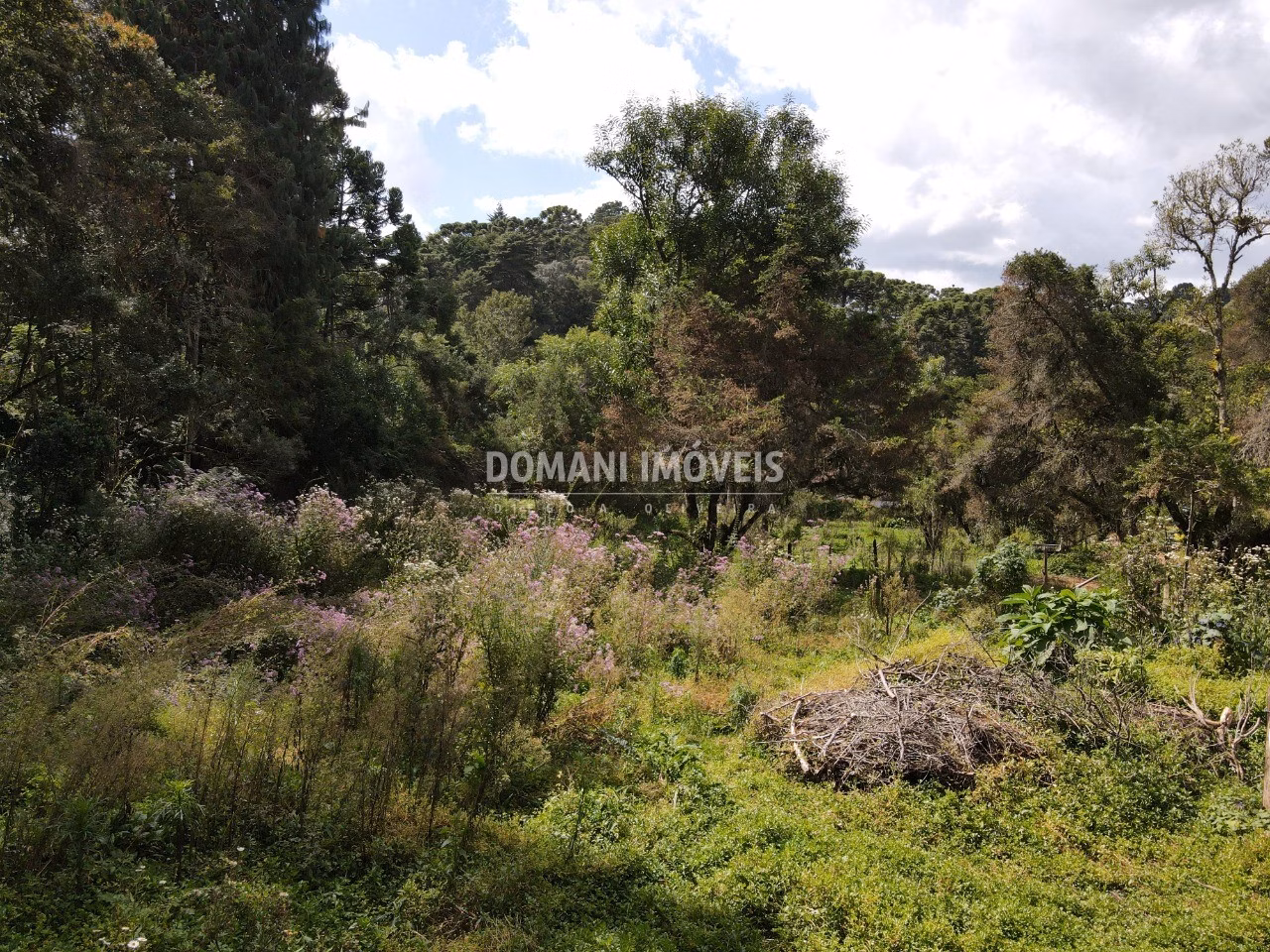 Plot of 1,250 m² in Campos do Jordão, SP, Brazil