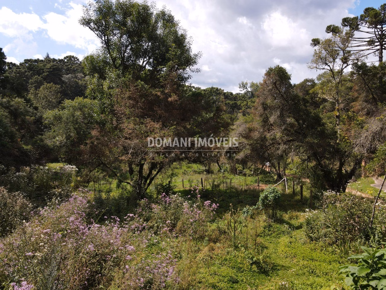 Plot of 1,250 m² in Campos do Jordão, SP, Brazil