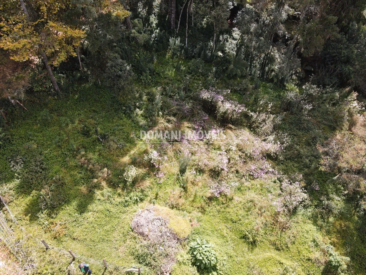 Terreno de 1.250 m² em Campos do Jordão, SP