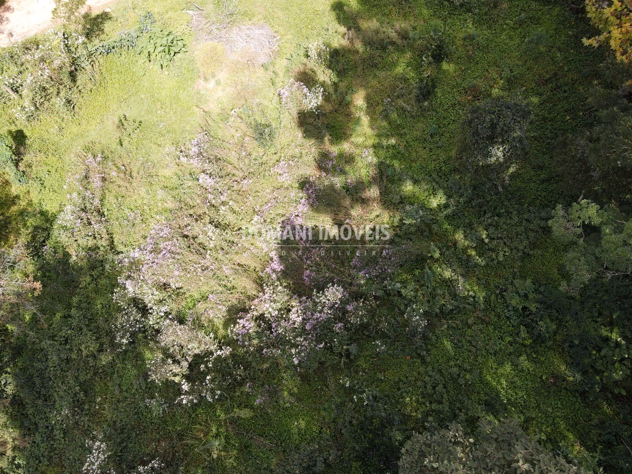Plot of 1,250 m² in Campos do Jordão, SP, Brazil