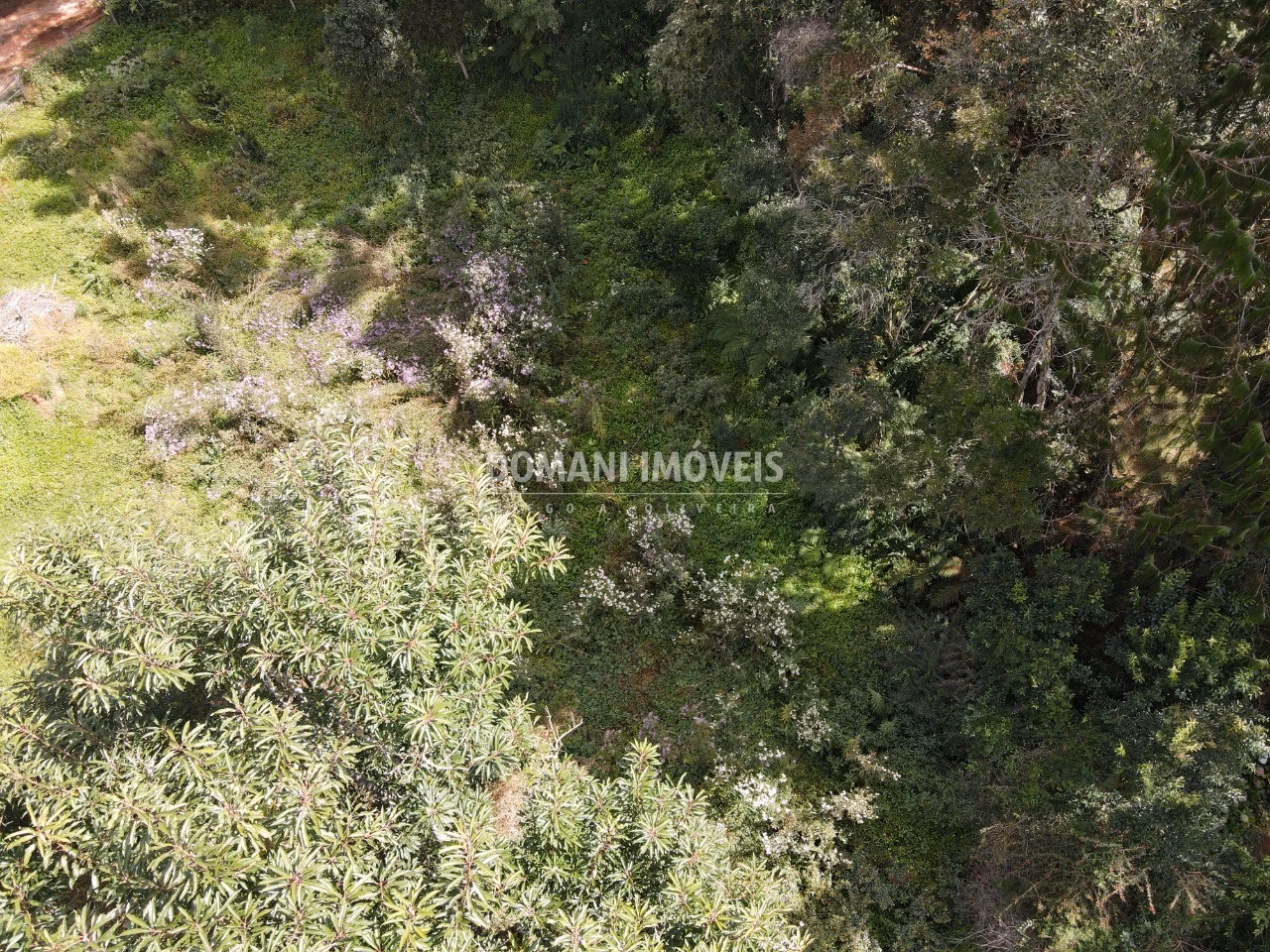 Plot of 1,250 m² in Campos do Jordão, SP, Brazil