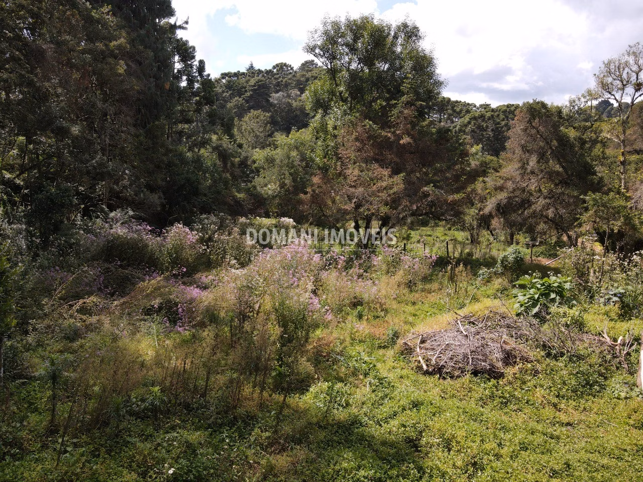 Plot of 1,250 m² in Campos do Jordão, SP, Brazil