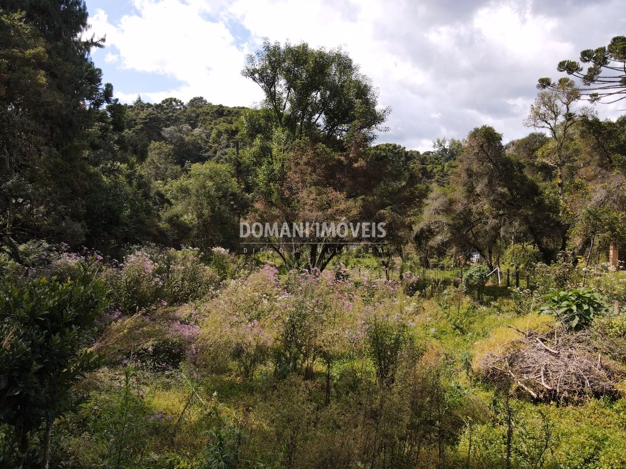 Plot of 1,250 m² in Campos do Jordão, SP, Brazil