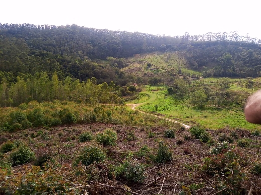 Sítio de 19 ha em Paraibuna, SP
