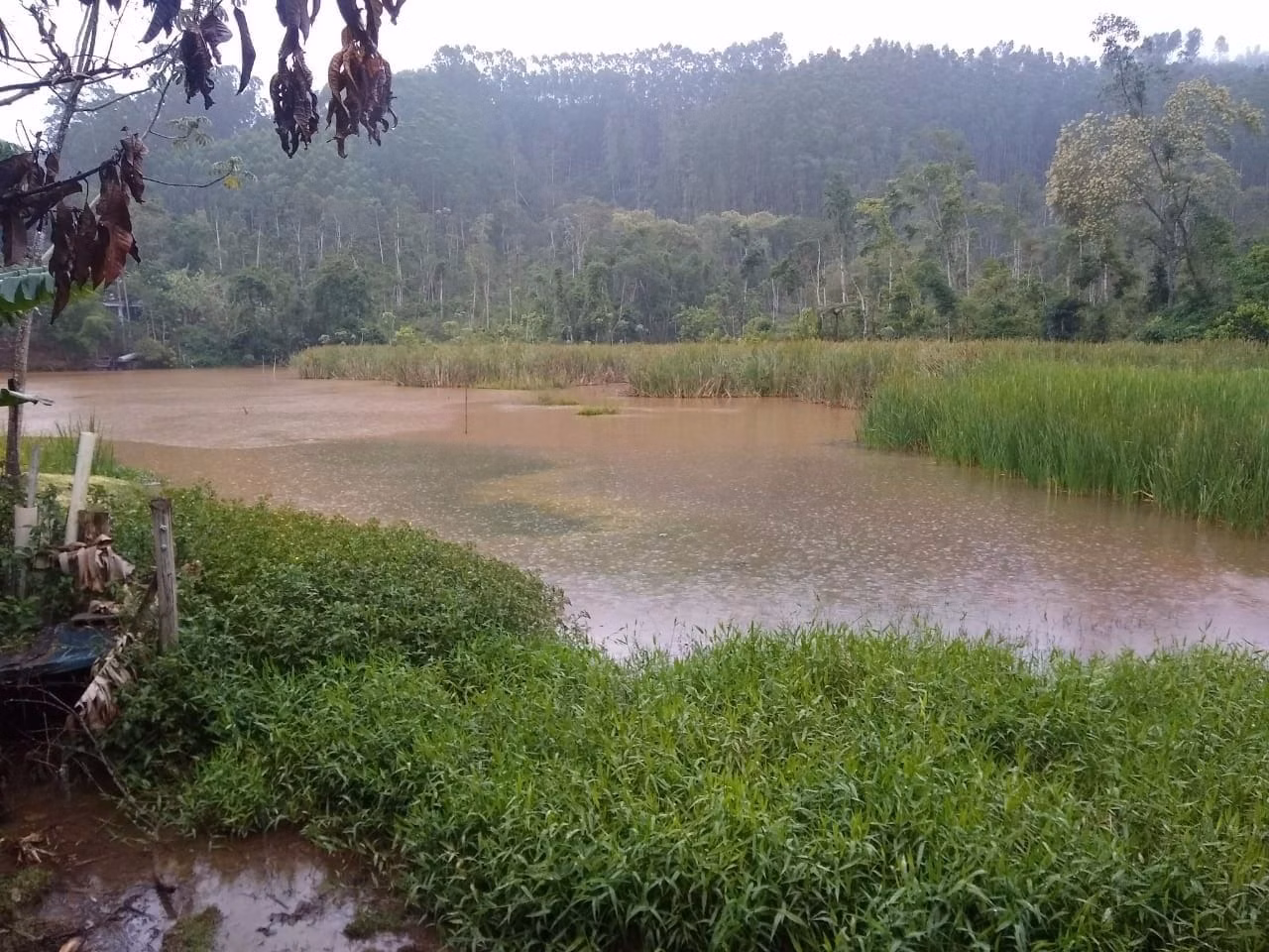 Chácara de 3.000 m² em Monteiro Lobato, SP