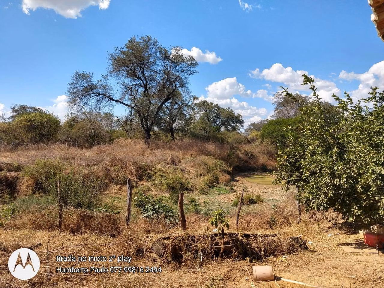 Fazenda de 2.010 ha em Ibotirama, BA