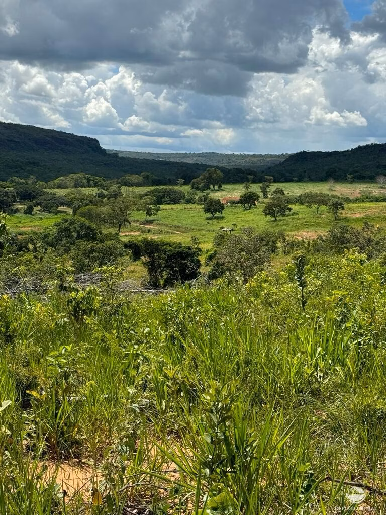 Farm of 4,784 acres in General Carneiro, MT, Brazil