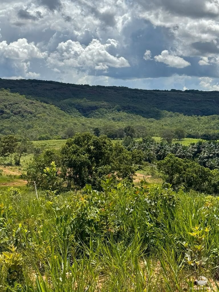 Farm of 4,784 acres in General Carneiro, MT, Brazil