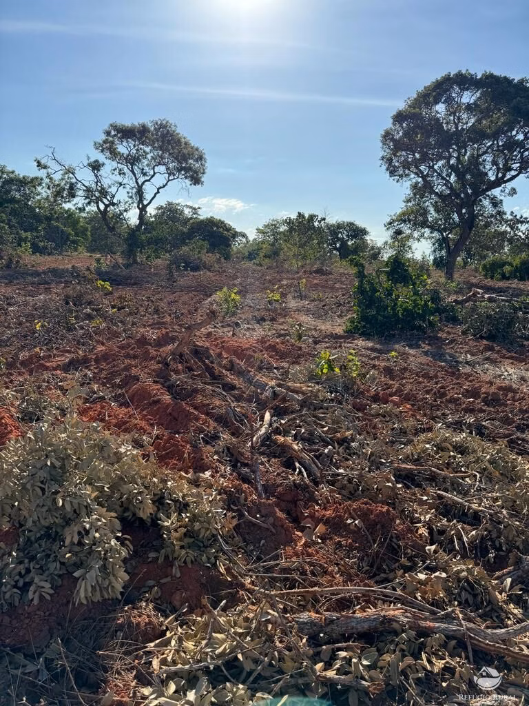 Farm of 4,784 acres in General Carneiro, MT, Brazil
