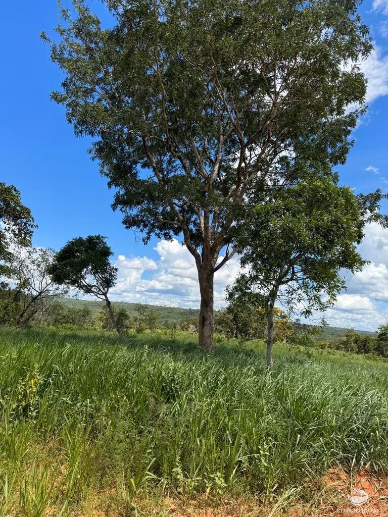 Farm of 4,784 acres in General Carneiro, MT, Brazil