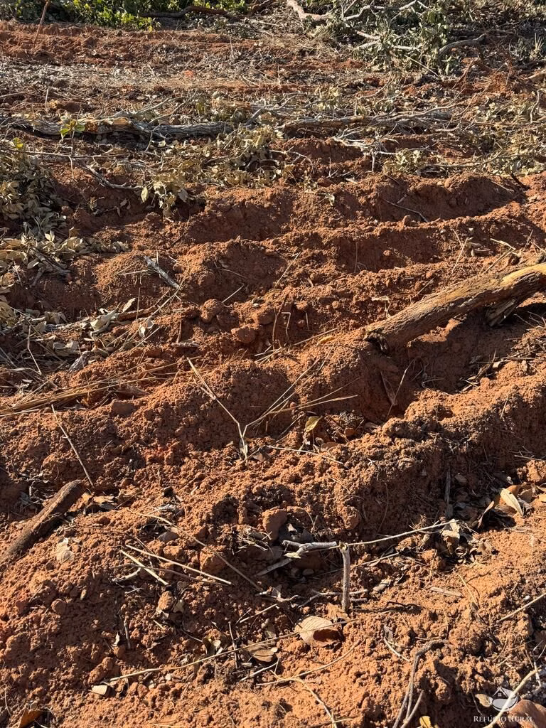 Farm of 4.784 acres in General Carneiro, MT, Brazil