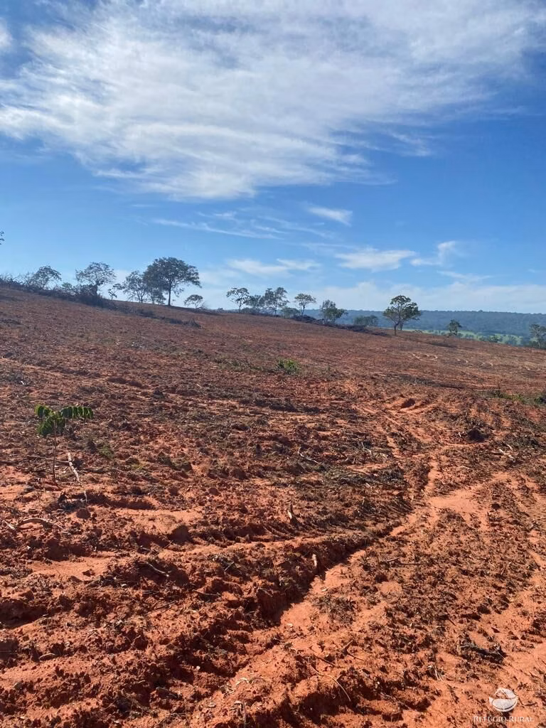 Farm of 4,784 acres in General Carneiro, MT, Brazil