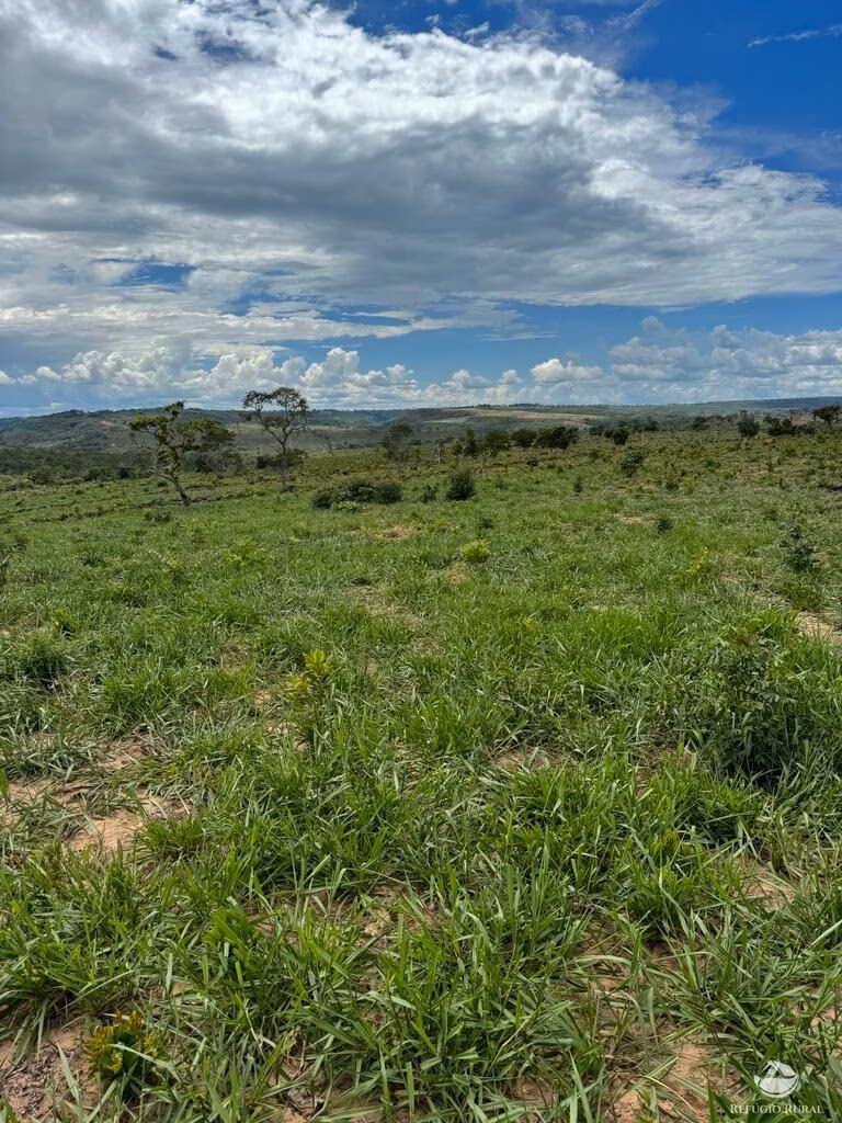Farm of 4,784 acres in General Carneiro, MT, Brazil